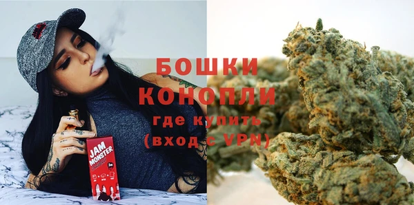 Альфа ПВП Верея