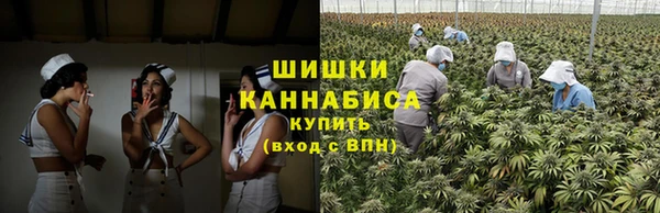 Альфа ПВП Верея